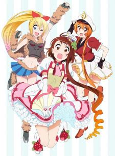 tinyzone nisekoi|List of Nisekoi episodes .